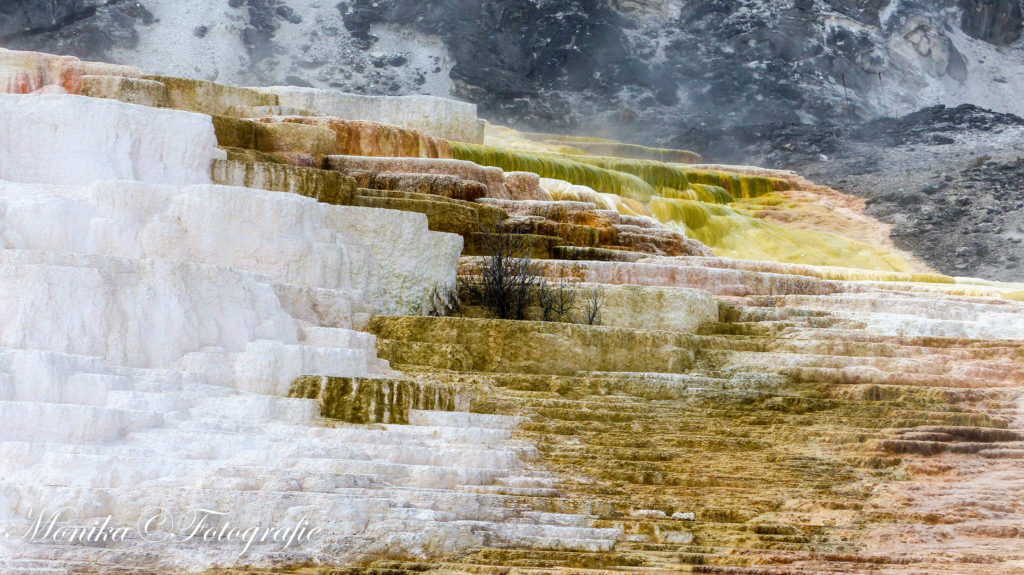 Mammoth hot Springs