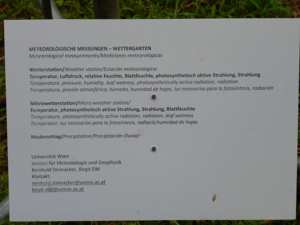 P1000938