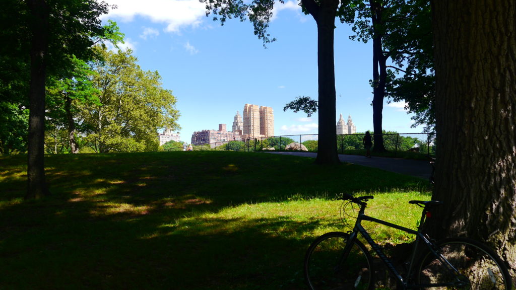 Central Park NYC