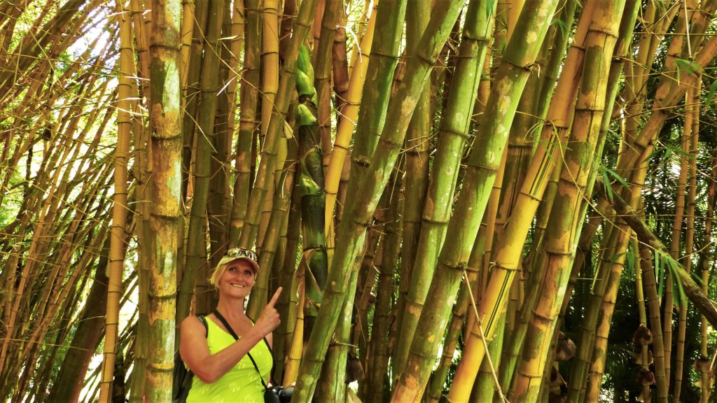Monika im Bambuswald
