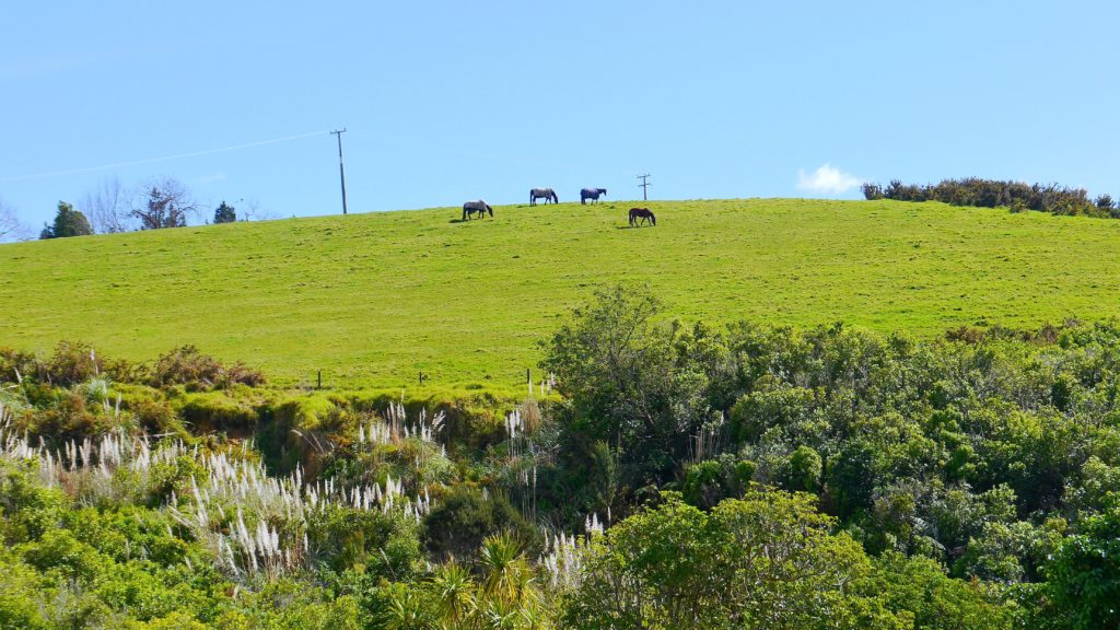 P14608391