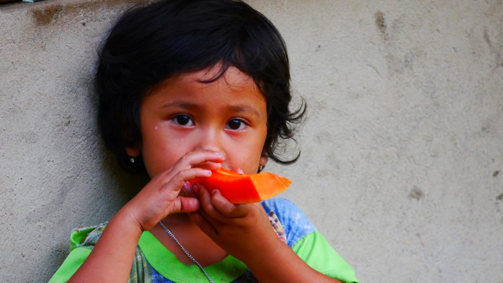 frische Papaya schmeckt hervorragend