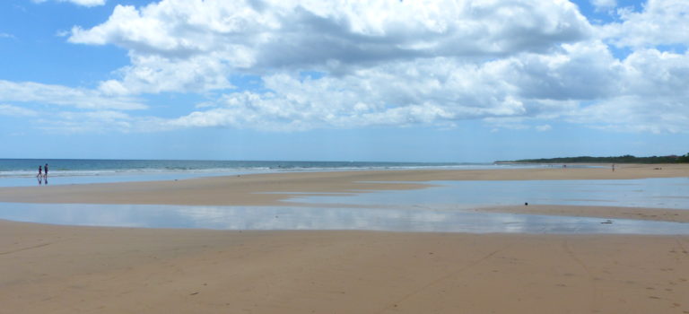 Surfer, Strand und Krokodile#Tamarindo