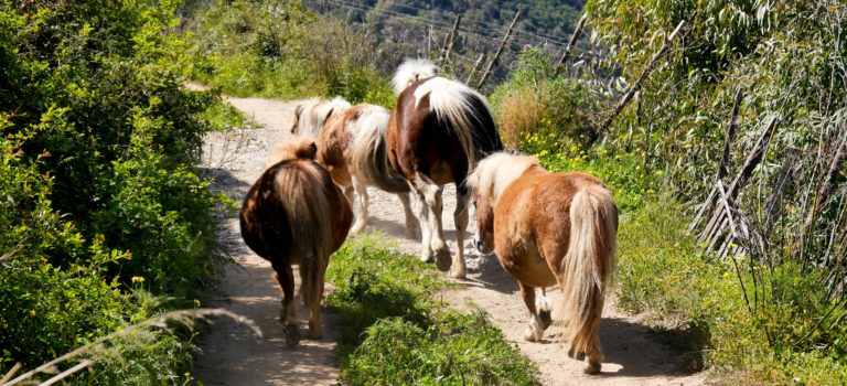 #Biketour nach Tindari#Pony´s und Drahtesel#