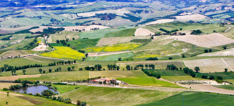 #Montalcino und Brunello#