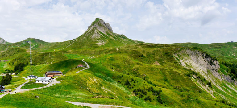 #Damülser Mittagsspitze#Heimat#Blütenzauber#