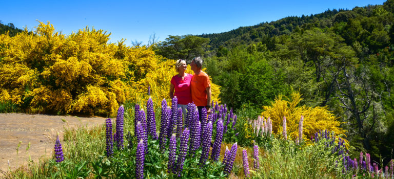 Hippiemarkt und Frühling in Bariloche