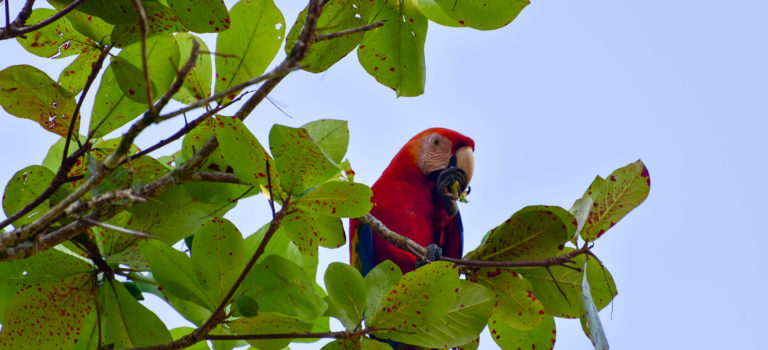 Costa Rica