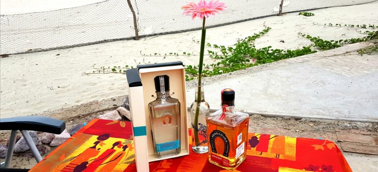 Von der Agave zum Tequila – Hazienda Heradura