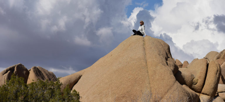 Joshua Tree Nationalpark