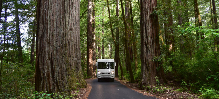 Von Mendocino zu den  Humbold Redwoods