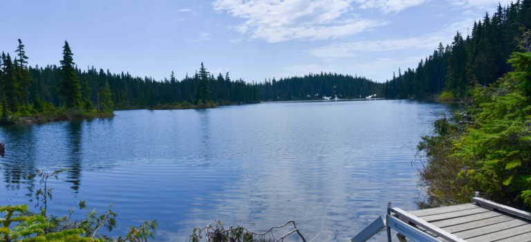 Mount Washington – wir erkunden die Berglandschaft von Vancouver Island