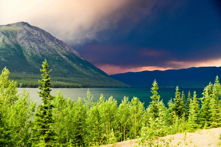 Dease Lake Monikas Reisespuren