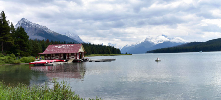 Eine „drei  Bergseentour“ zum Medicin Lake, Maligne Lake und Moose Lake