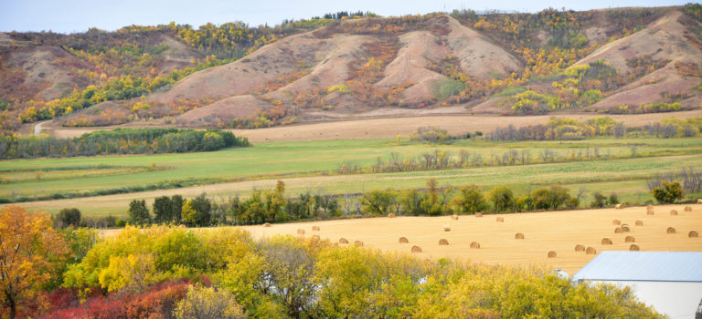 Durch die Prärie von Saskatchewan