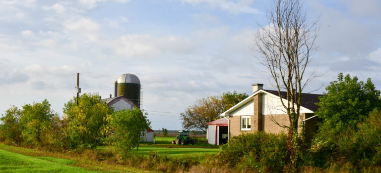 Ottawa – vom Holzfällerdorf zur Hauptstadt von Ontario