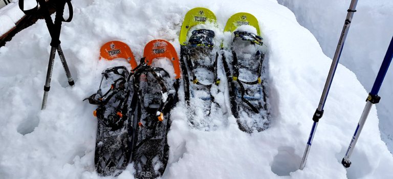 Aussergewöhnliches Schneeschuhwandern im Märchenwald