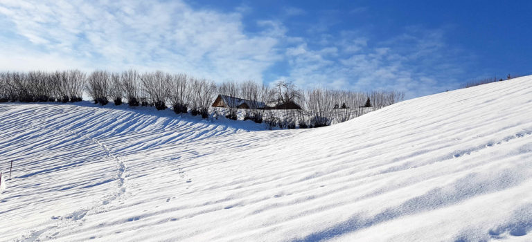 Bildstein – ein faszinierendes Schneeschuhwander – Paradies