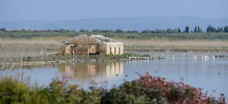 Riserva Naturale di Venidcari – Vogelschutzgebiet und eine verlassene Thunfischfabrik