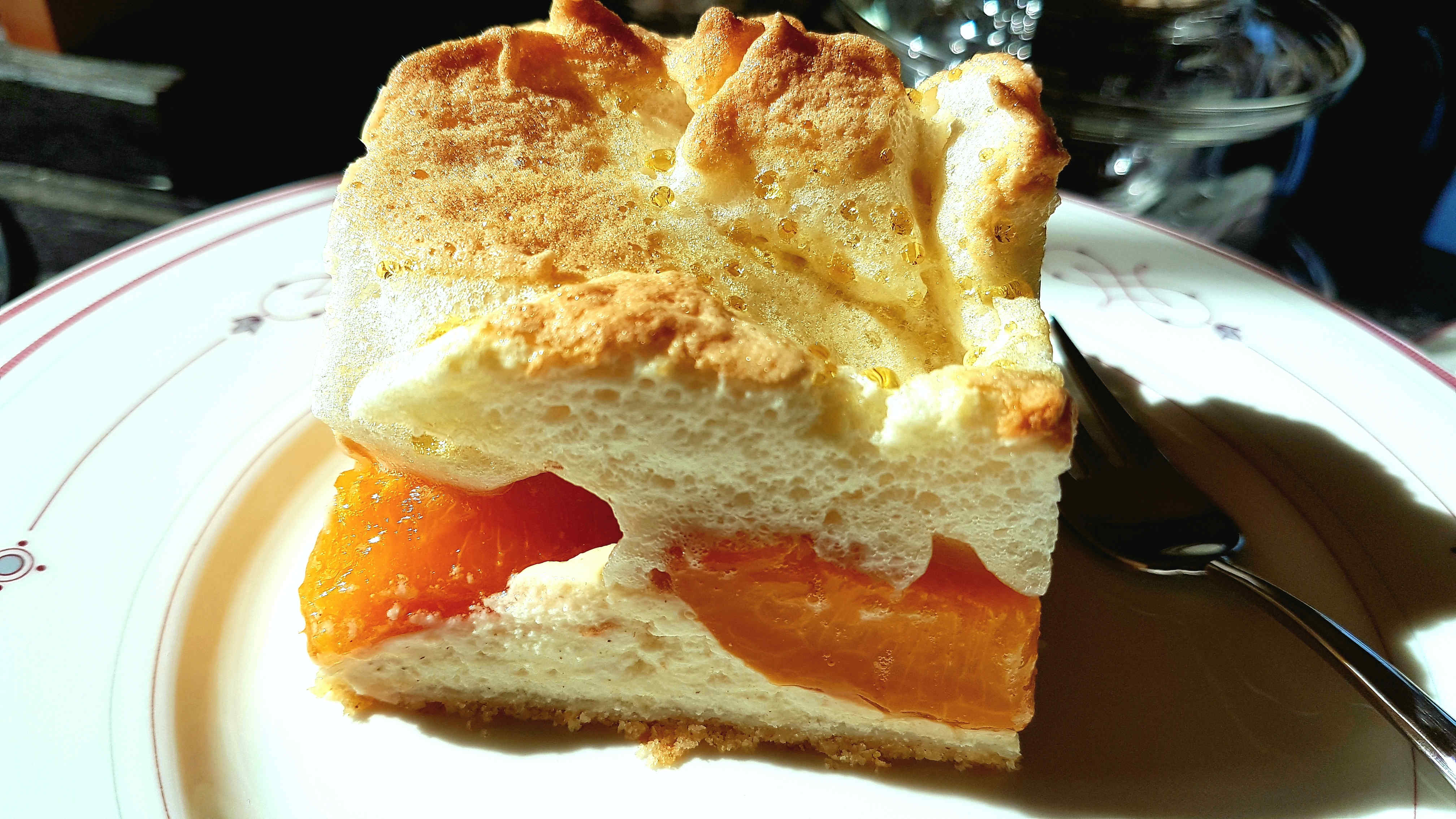 #Marillentopfenkuchen | Monikas Reisespuren