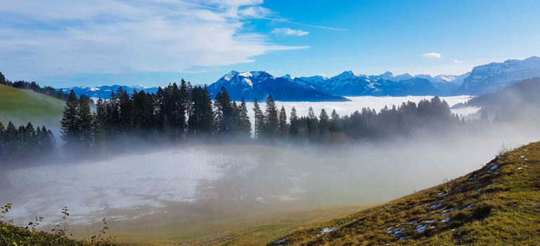 Über den Wolken – wir entfliehen dem Nebelmeer im Rheintal