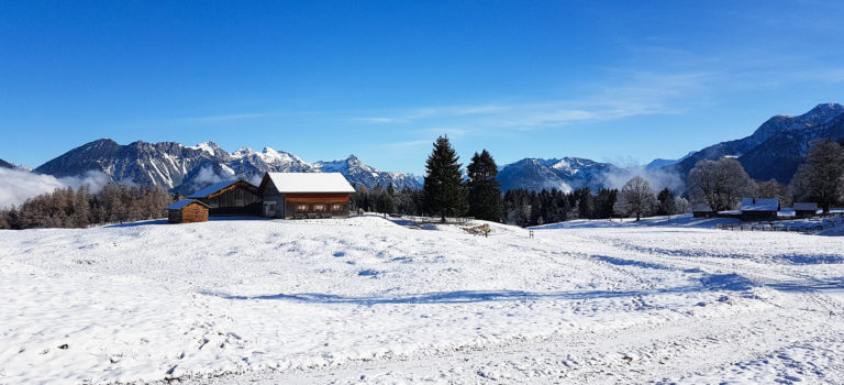 Und los geht’s – die Schneeschuhe angeschnallt