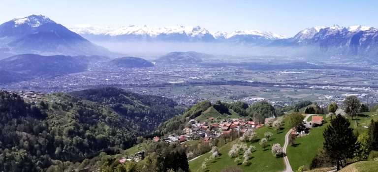 Frühling im Ländle – in Enzian gebettet auf dem Weg zur hohen Kugel