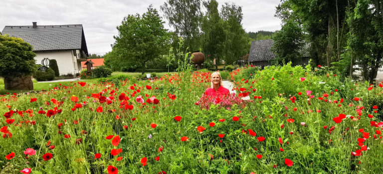 Alles Mohn in Mohndorf