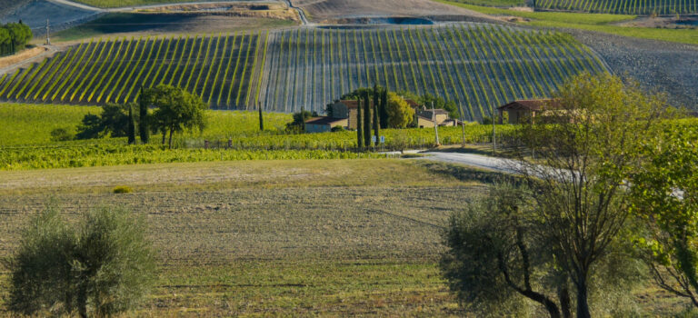 Wo bitte ist die schöne Aussicht? Agritourismo Il Cocco