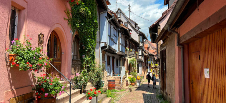 Radelnd durch die Weinberge  im Elsass