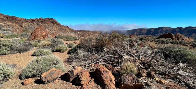 Teide Nationalpark in den schönsten Farben